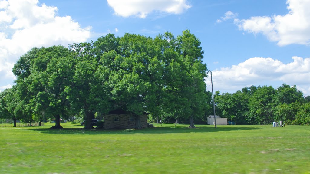 2014 04-12 Winter Haven, Florida - along Eagle Lake Rd.
