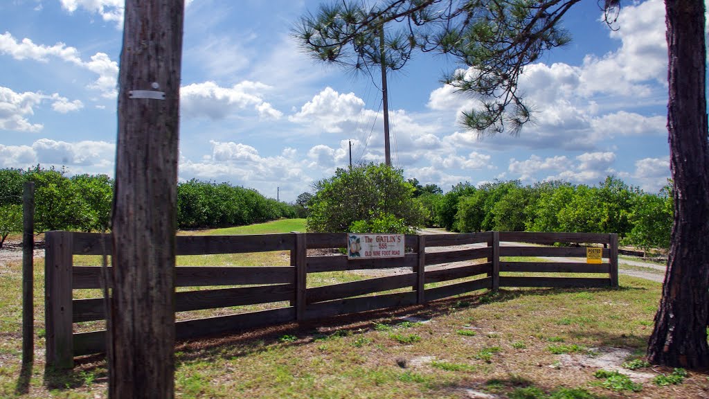 2014 04-12 Winter Haven, Florida - Eagle Dr. N