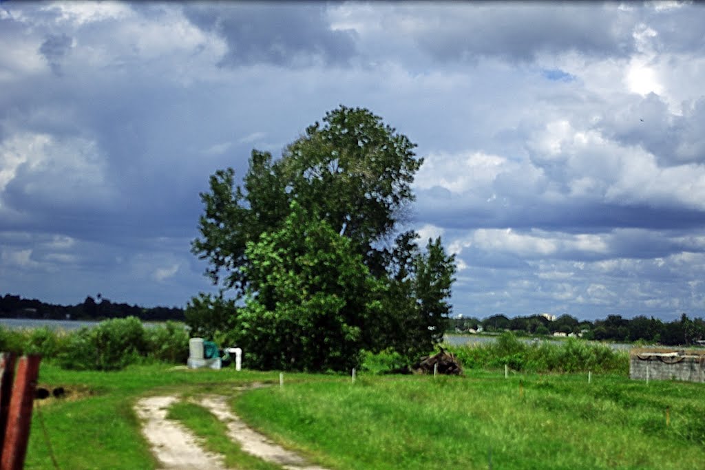 2012, Winter Haven, FL