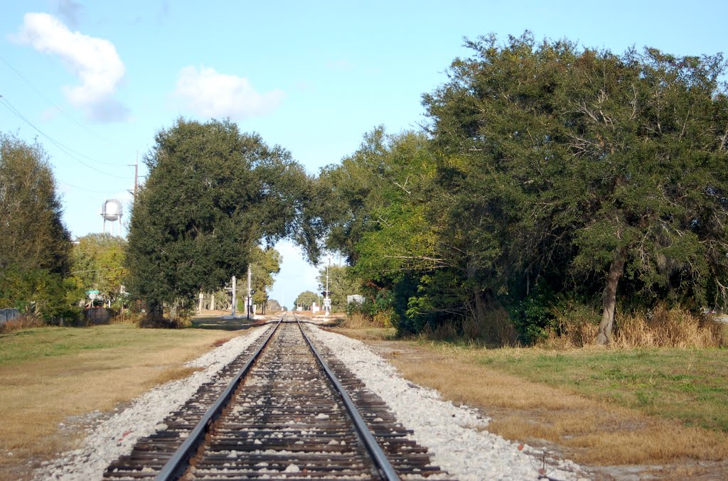 Florida Midland Railroad Mainline, looking North, at Eagle Lake, FL
