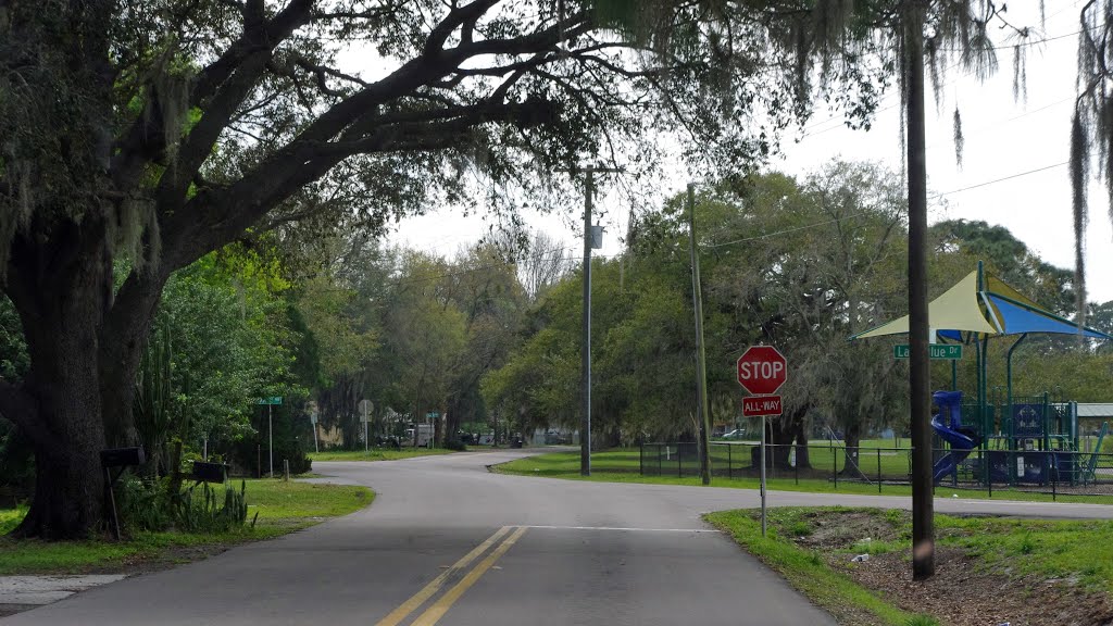 2014 03-05 Winter Haven, Florida - Jersey Rd & Lake Blue Dr