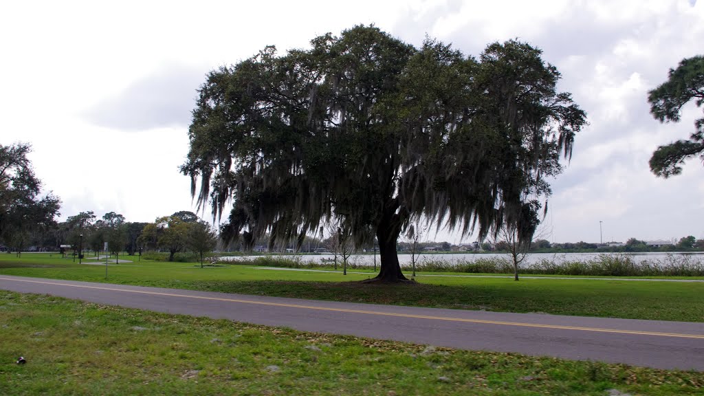 2014 03-05 Winter Haven, Florida - Lake Dr.