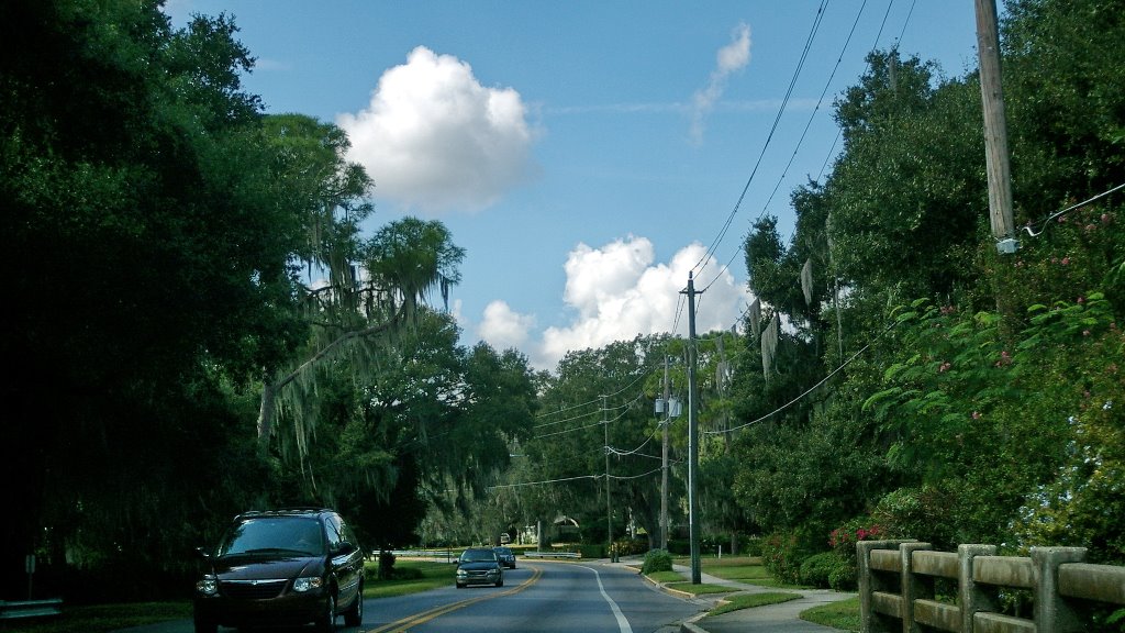 2009 Lake Howard Dr. - Winter Haven, Florida