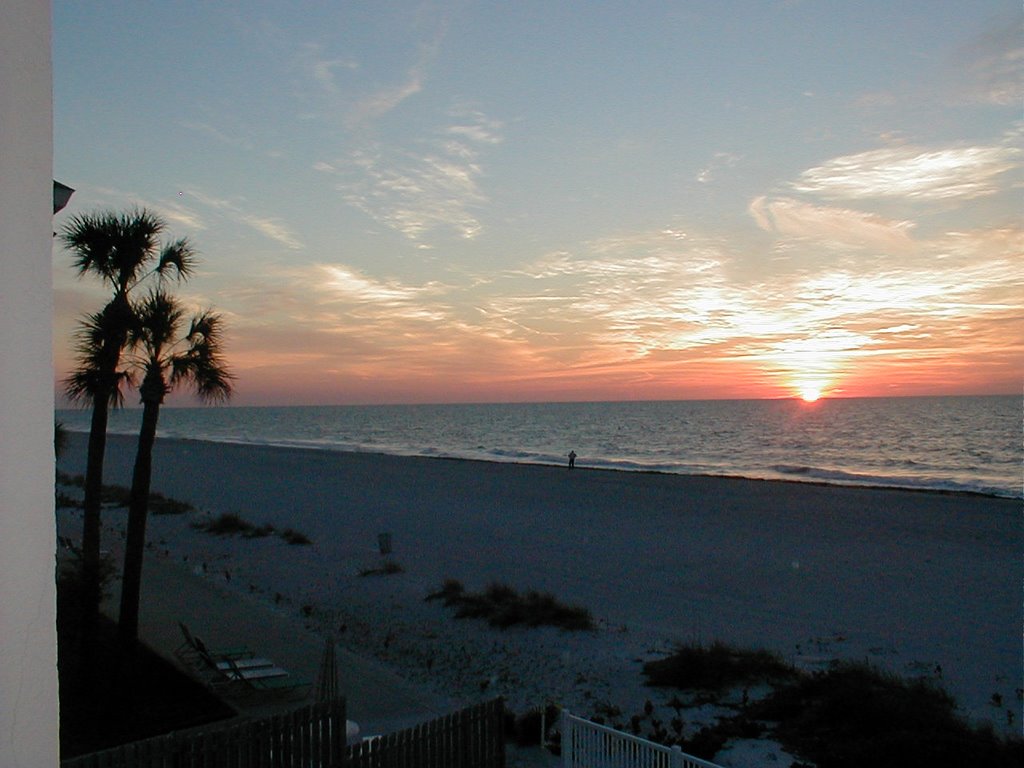 Nice Sunset