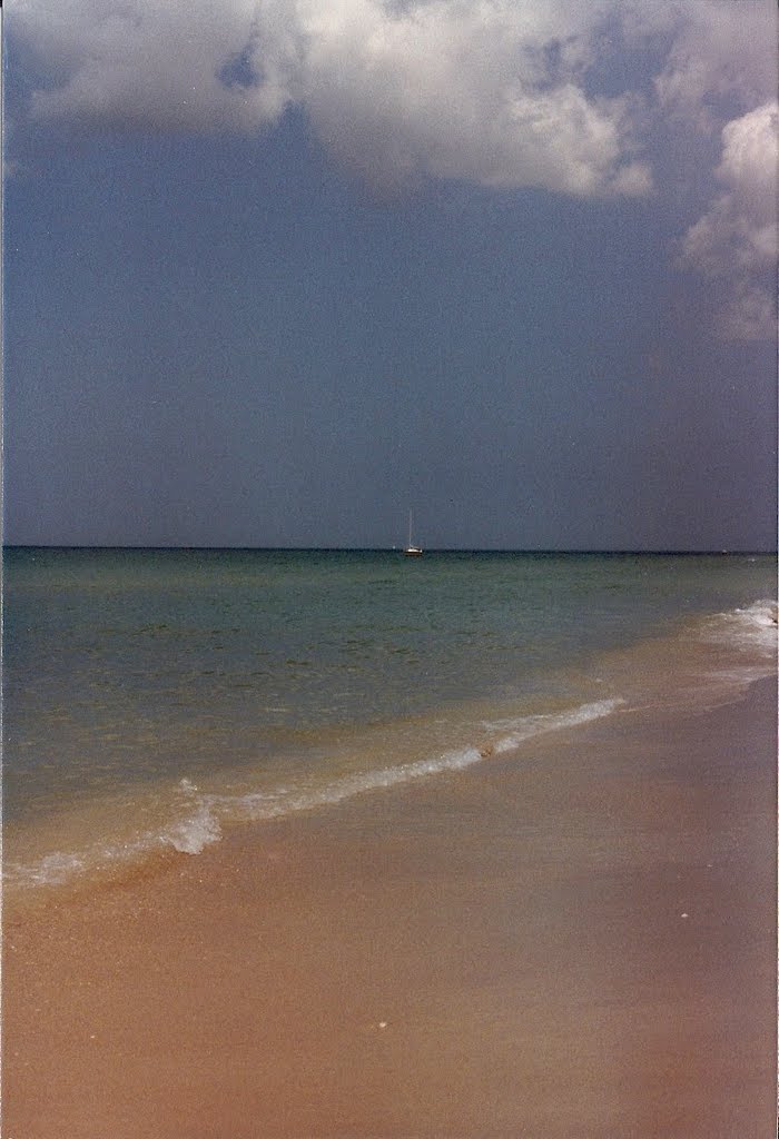 Sail