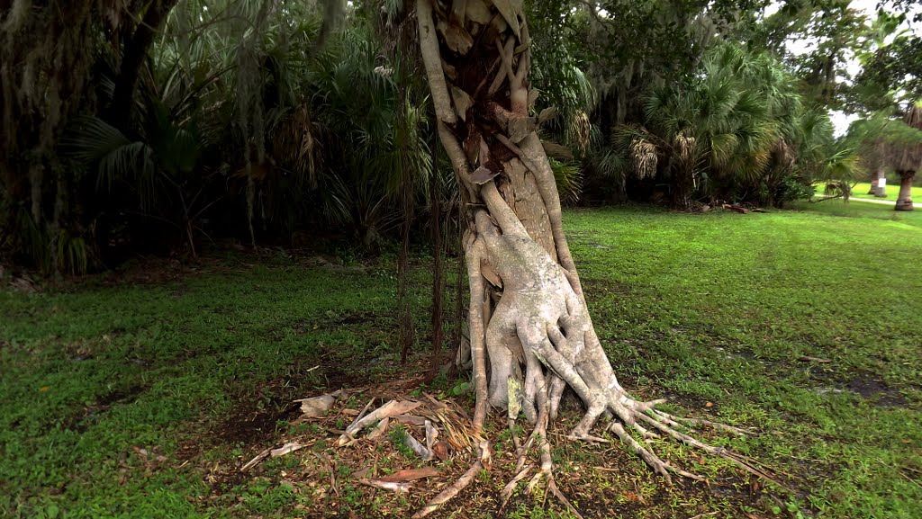 John R. Bonner Nature Park , Largophoto , Largo