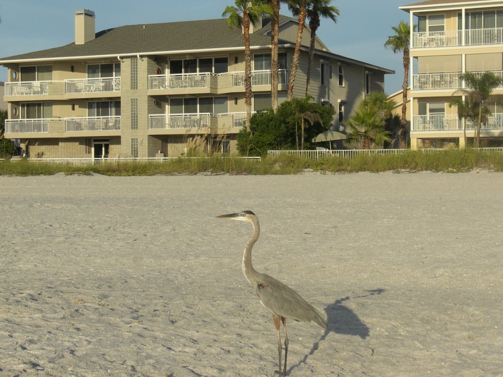 Indian Rocks Beach
