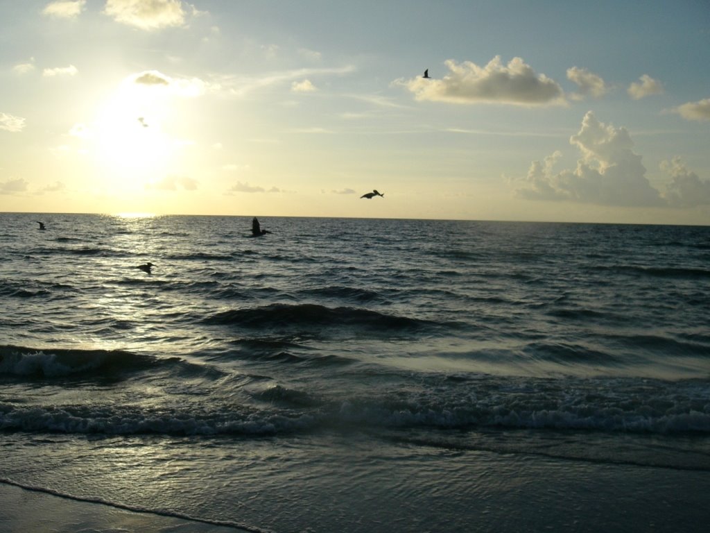 The Beautiful Ocean