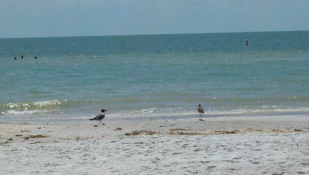 Indian Rocks Beach, FL