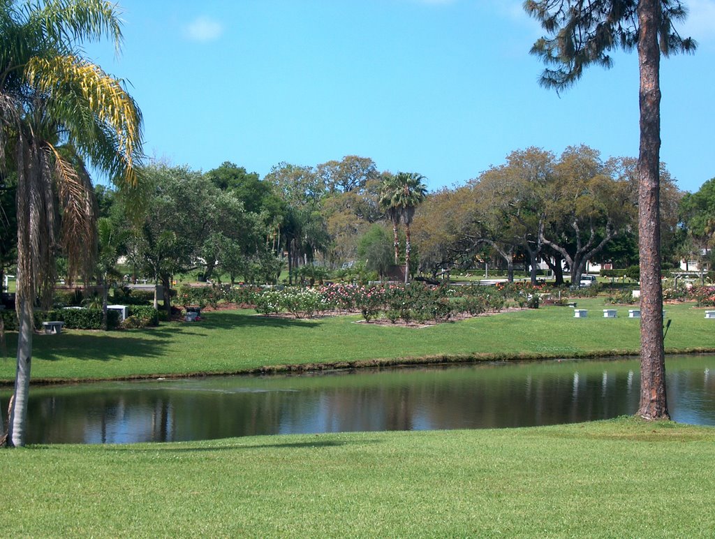 Sturgeon Rose Garden