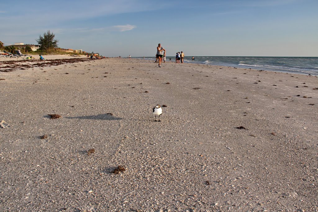 Indian Rocks Beach