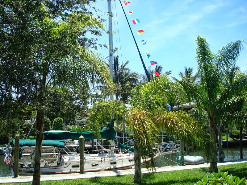 Boat in Residential Canal