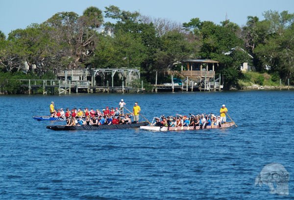 Dragon Boat racers practicing at the Mathers Bridge