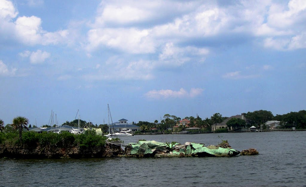 Remains of Annie, the Merritt Island Dragon