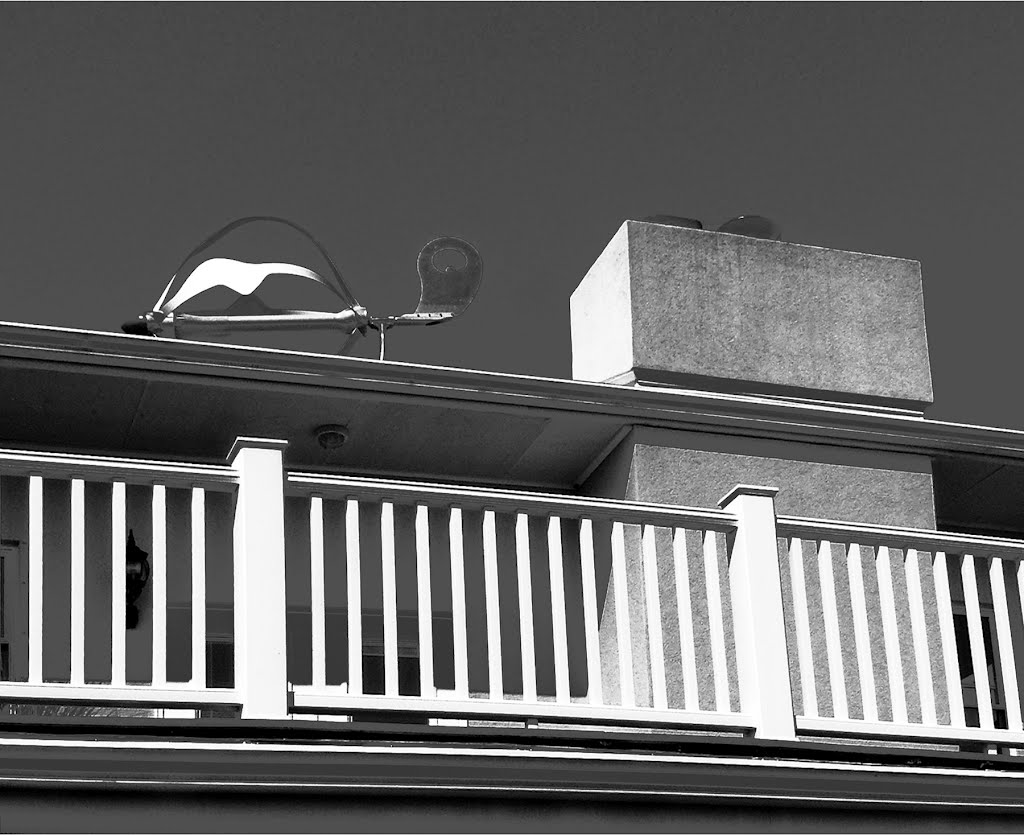 Roof with Wind Indicator, Floridas Showcase Green Envirohome
