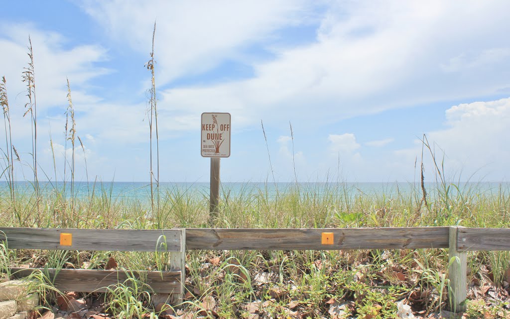 Beach View #1