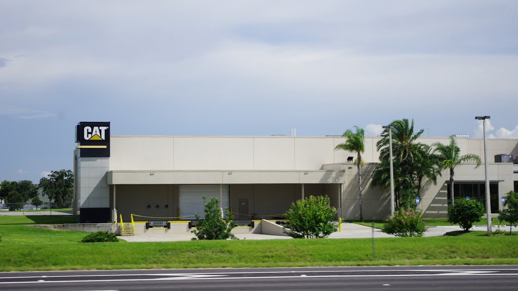 2014 07-26 Florida - along Rte 570 - Cat