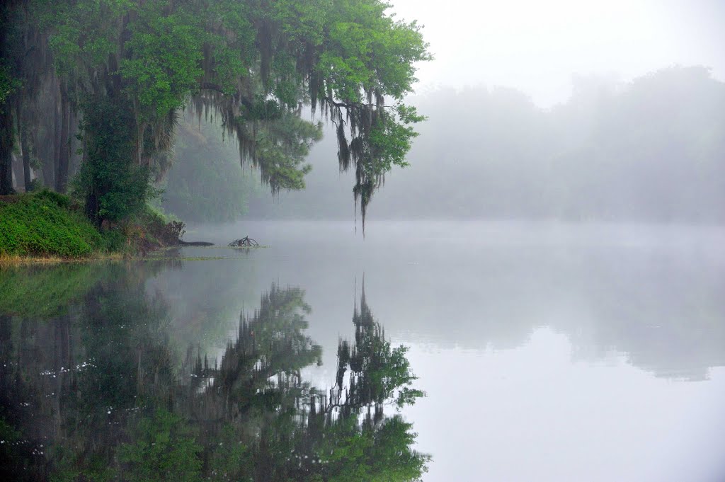 Foggy Morning On Lakeland Bike Trail