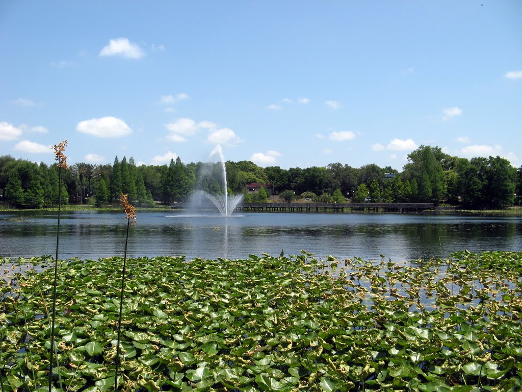 Lake Lily Fountain