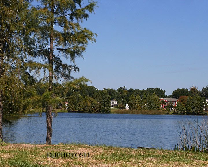 MAITLAND FL    DHPHOTOSFL
