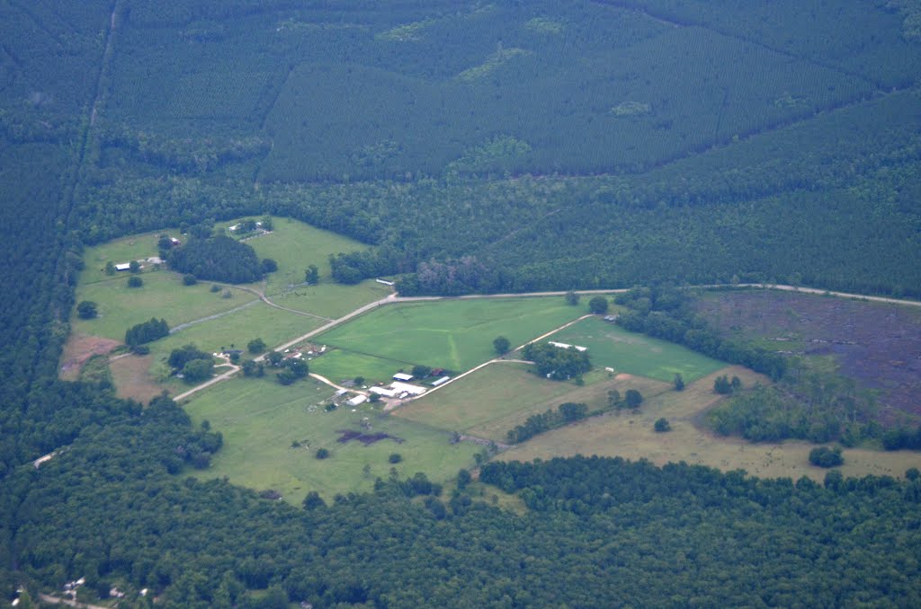 Farm near Middle Road