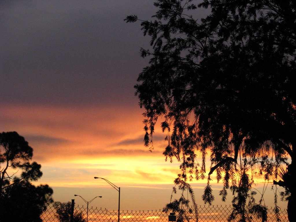 Miami Sunset