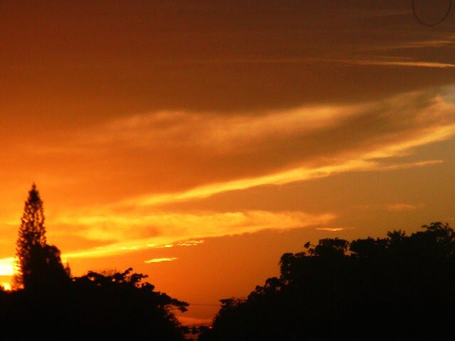 VETA DE ORO