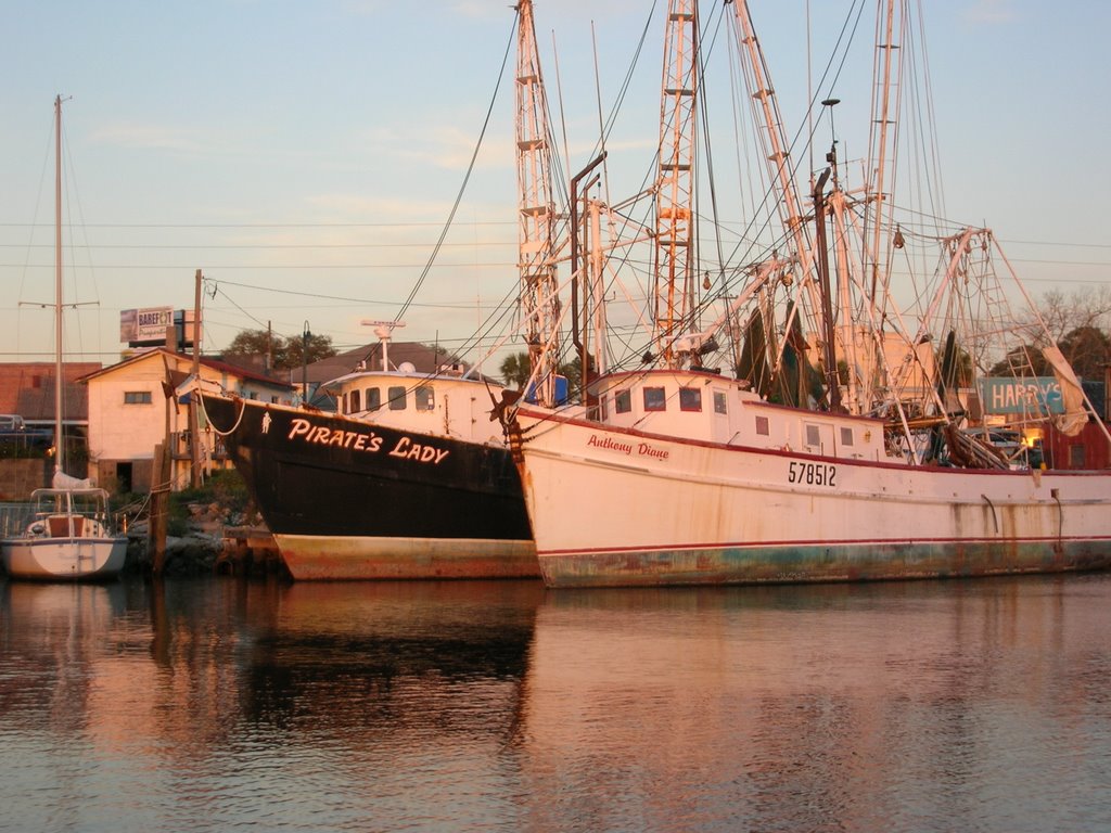 Shrimp Boats at Sunset