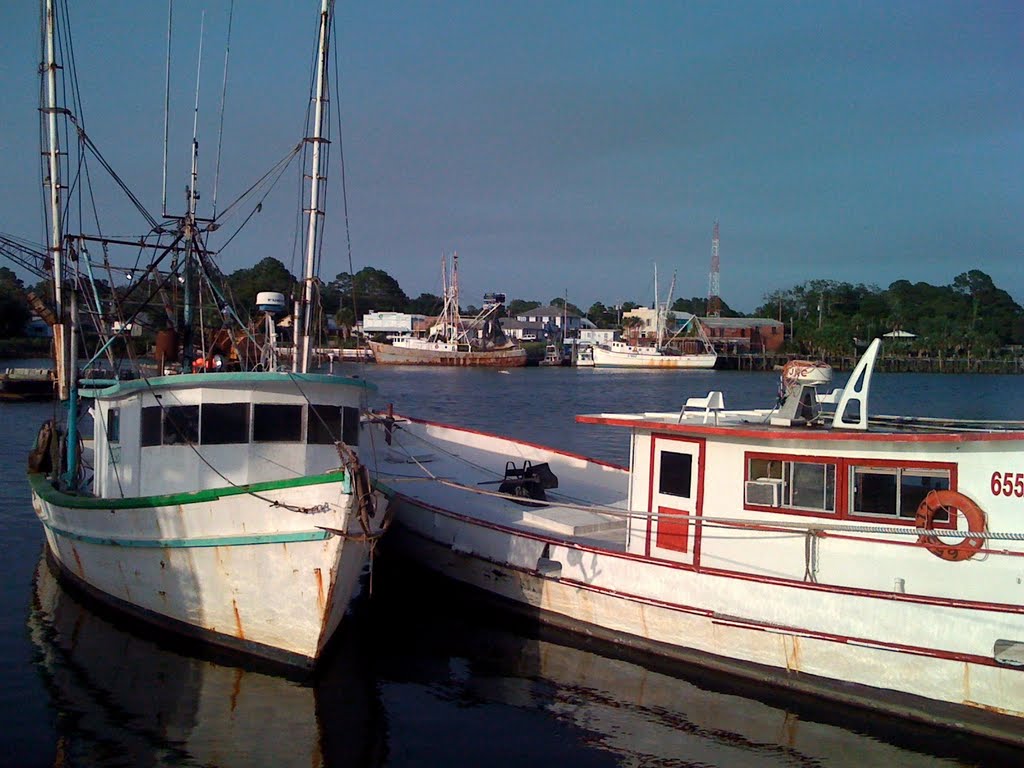 Shrimp Boats