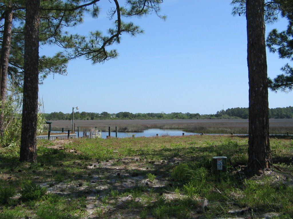 Postum Bayou