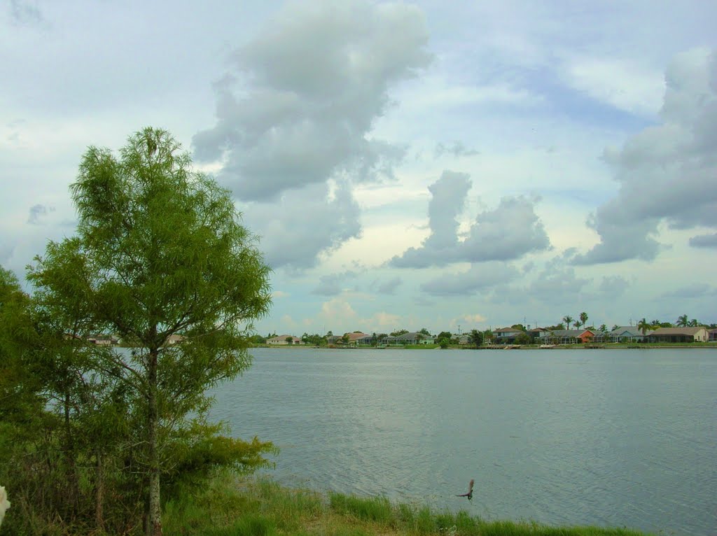 Saratoga Lake Park Cape Coral