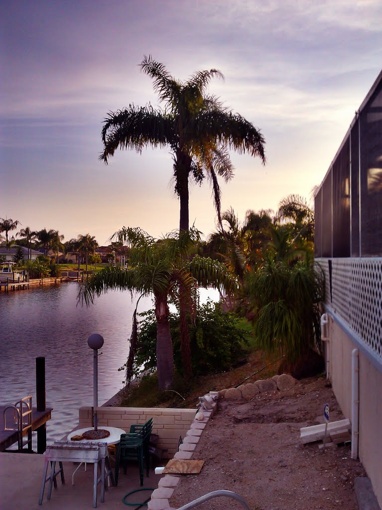 palm tree at sunset cape coral