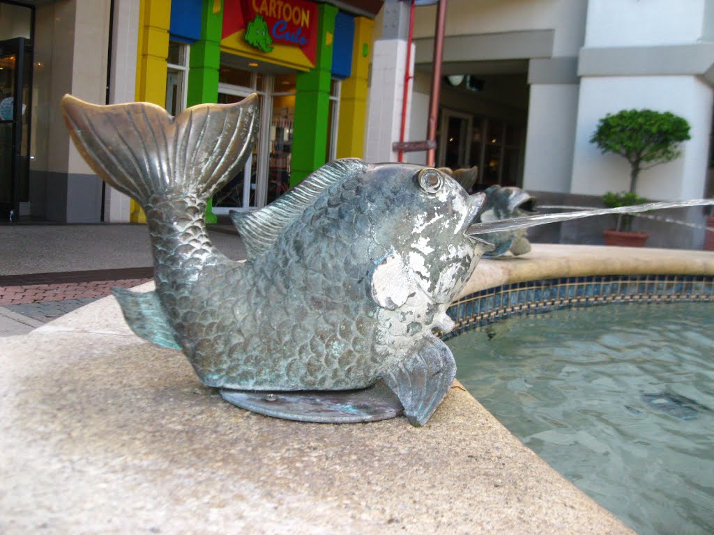 Fountain Fish at The Falls, Miami Dade County.