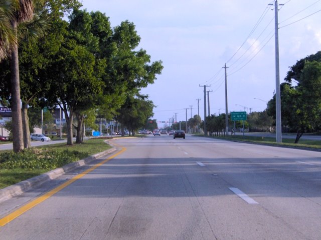S Dixie Hwy ( Pinecrest )