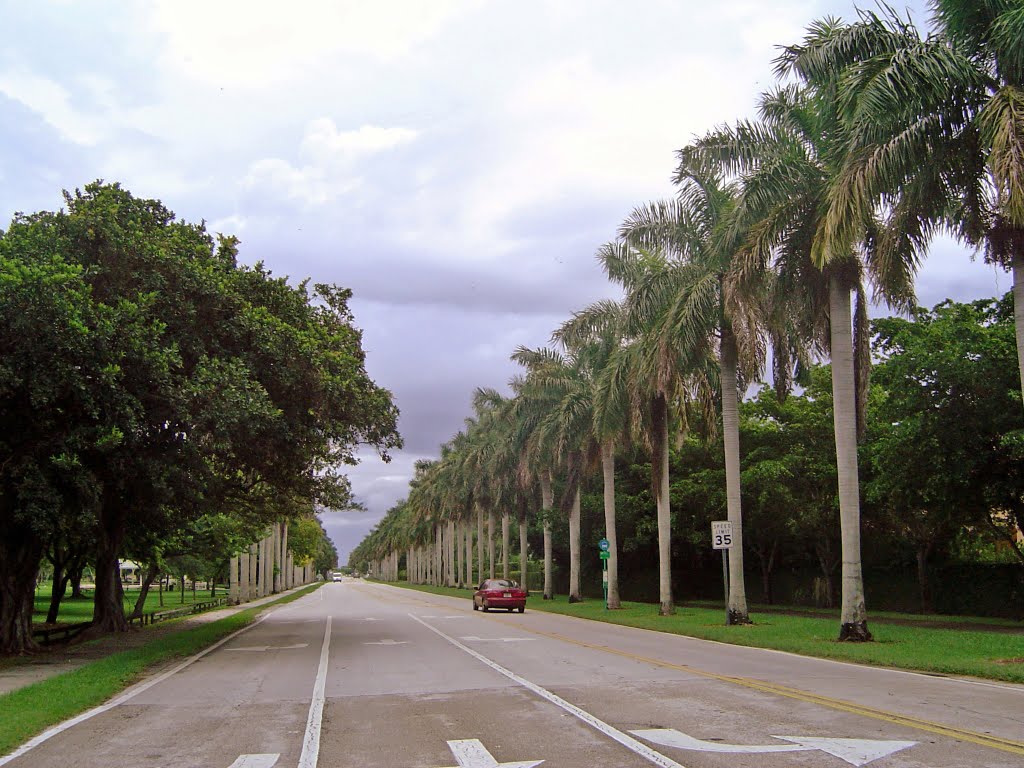 Palmetto Bay - Miami Dade County