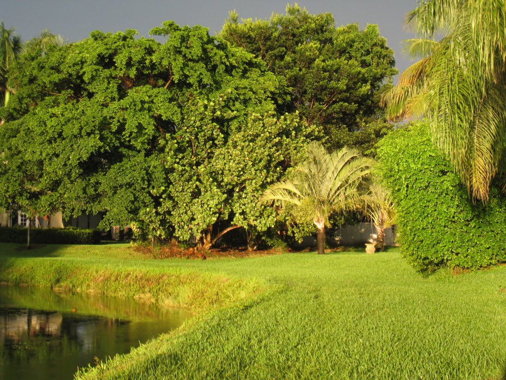 Canal curve