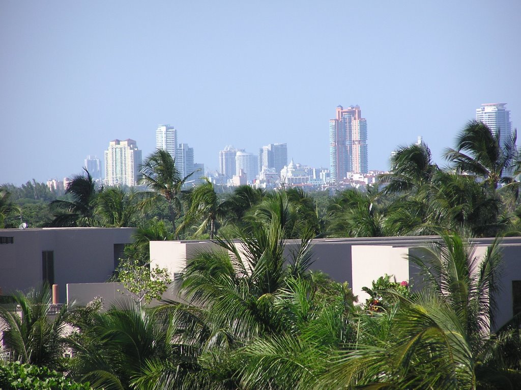 Miami View from Sonesta Resort