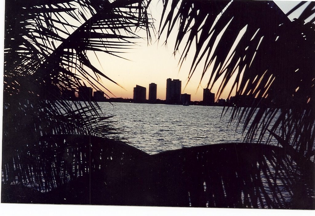 Miami - Down town