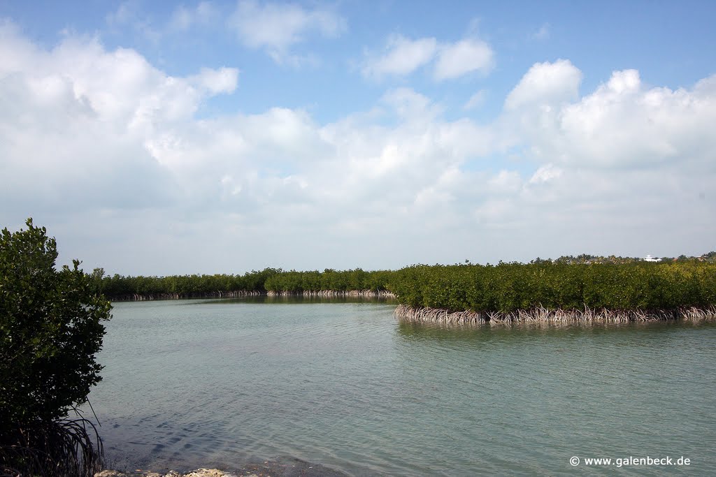 Bill Baggs Cape Florida State Park