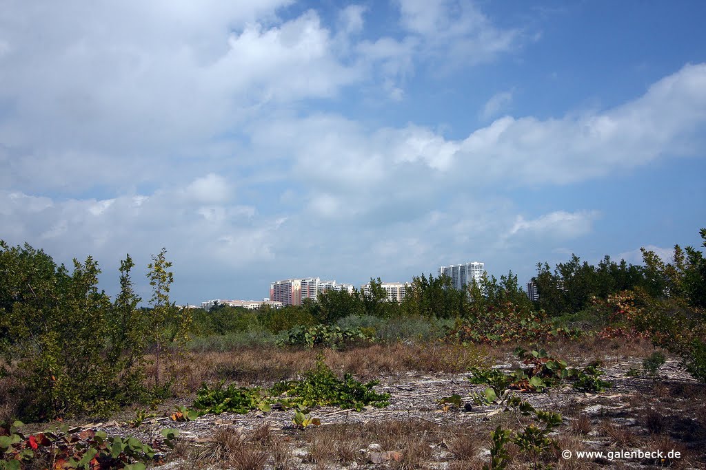Bill Baggs Cape Florida State Park
