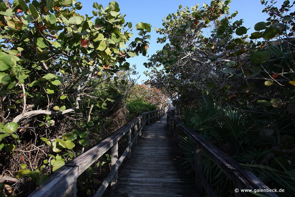 Bill Baggs Cape Florida State Park