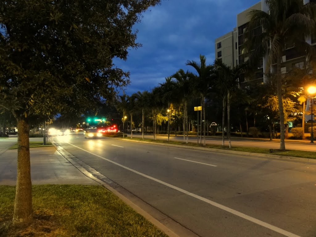DSC00093 Key Biscayne at Night  - NE view