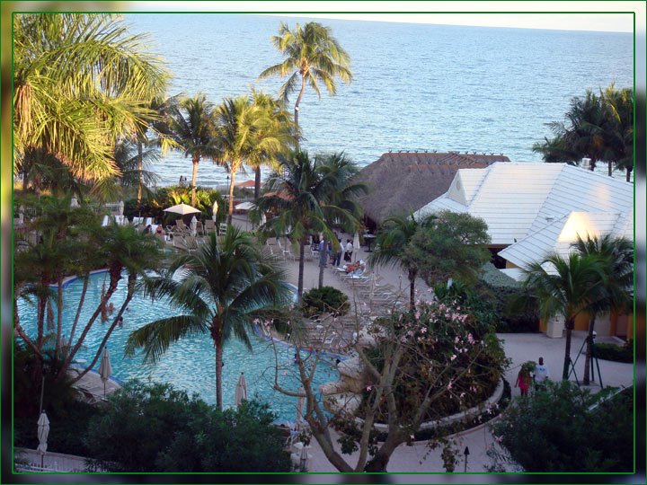 Ritz-Carlton Key Biscayne. View from the room