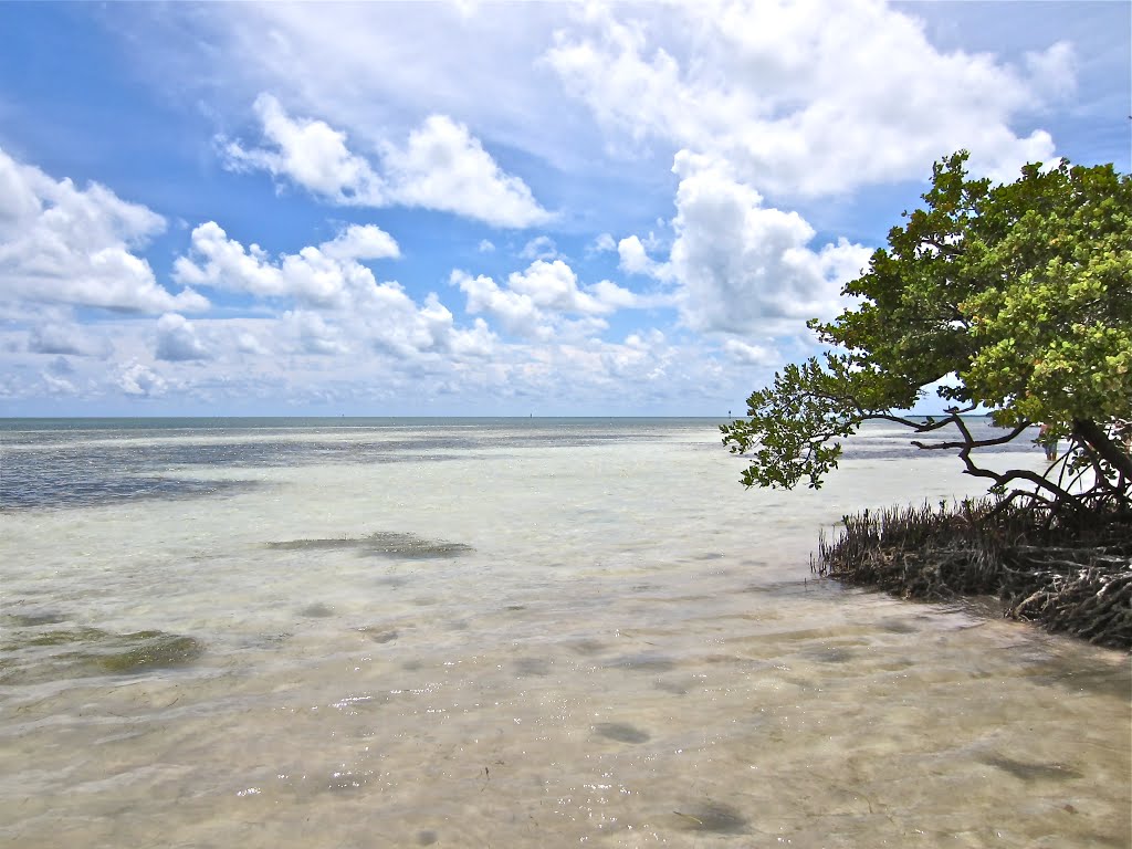 Florida. USA.