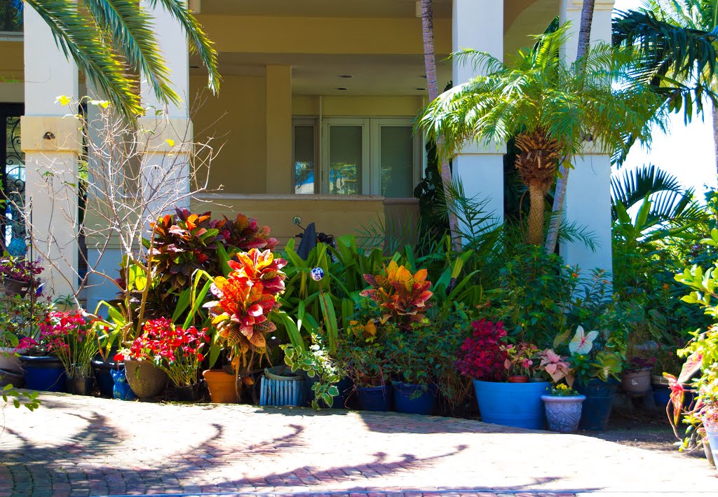 Flowers, Key Biscayne ...
