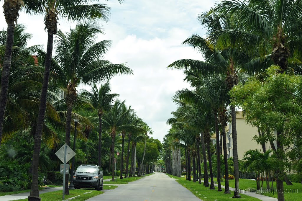 Key Biscayne - Florida - USA