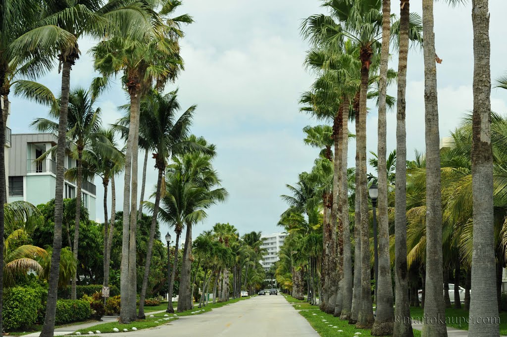 Key Biscayne - Florida - USA