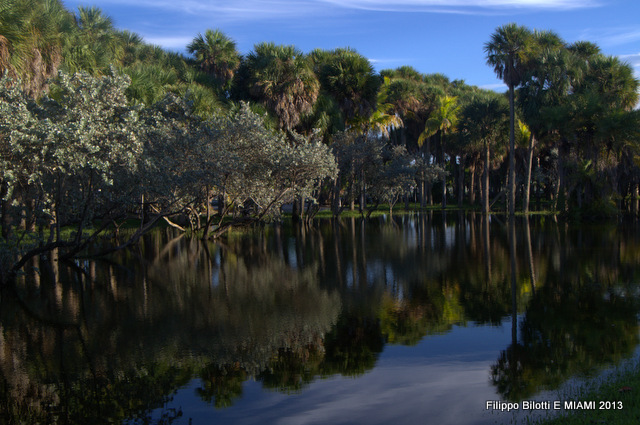 F.B.Naturaleza.