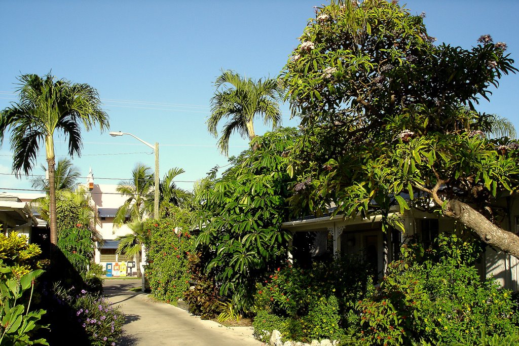 Key West full of flowers, Florida