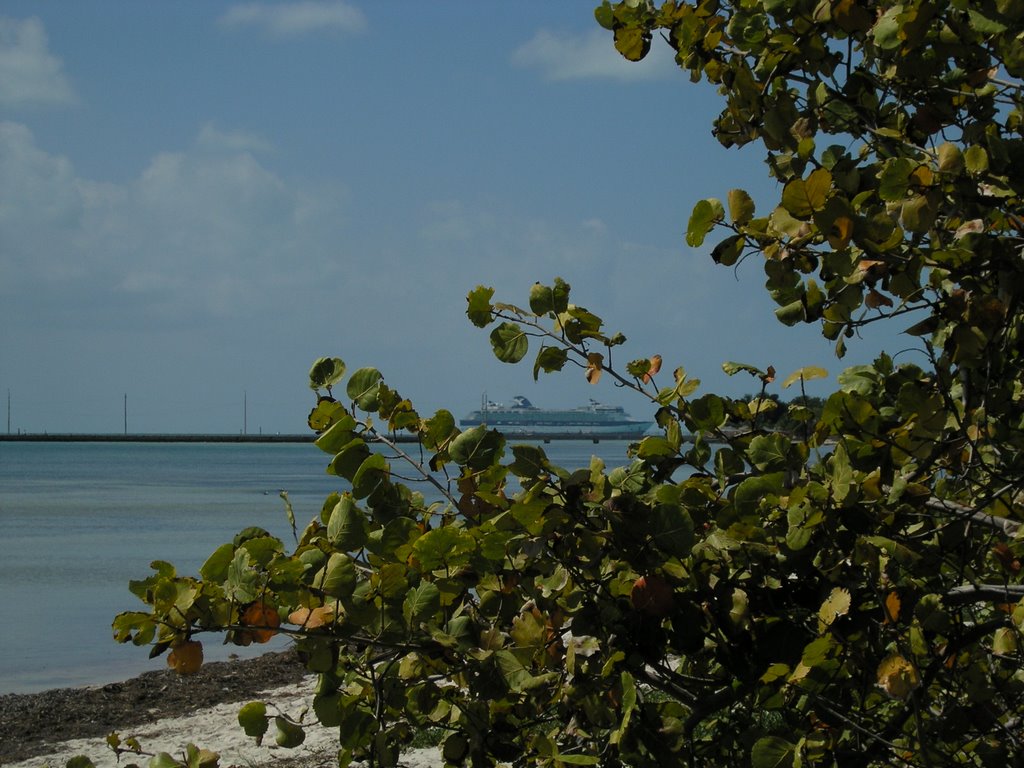 Key West - Higgs Beach (2/2005)